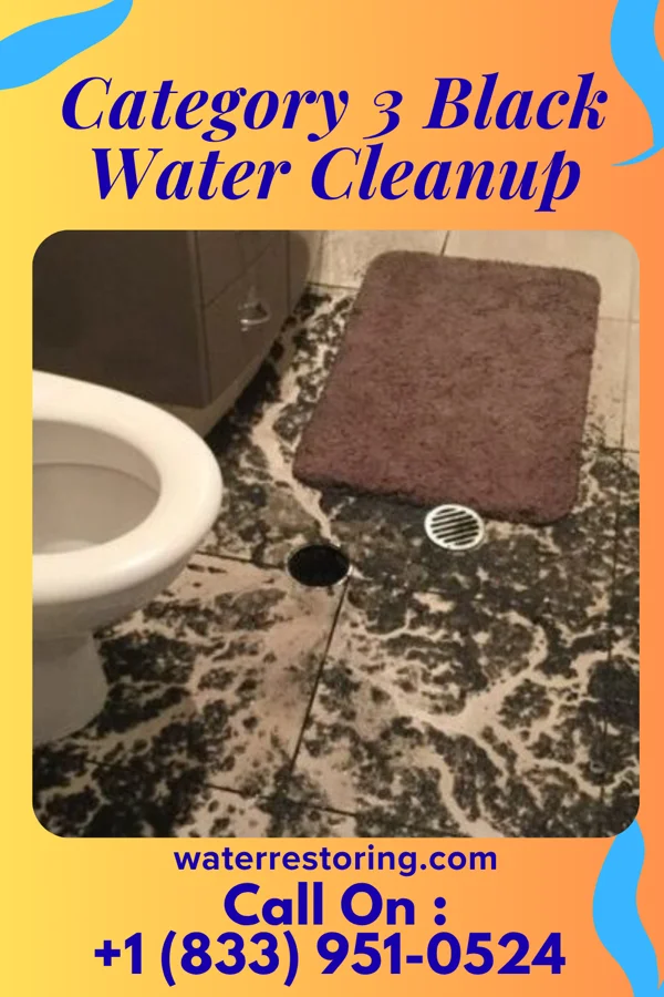 Category 3 Black Water Cleanup in Maringouin, LA
