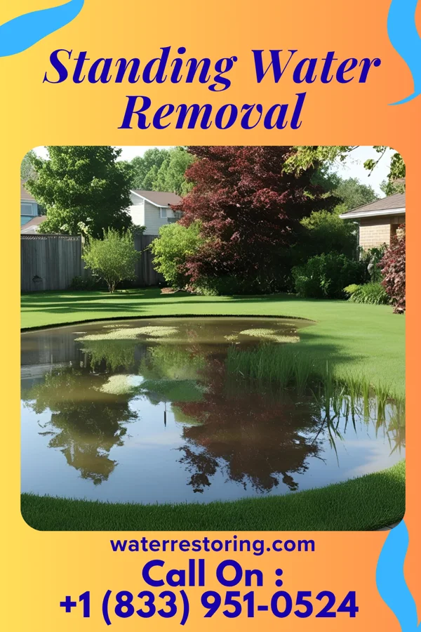 Standing Water Removal in Maringouin, LA